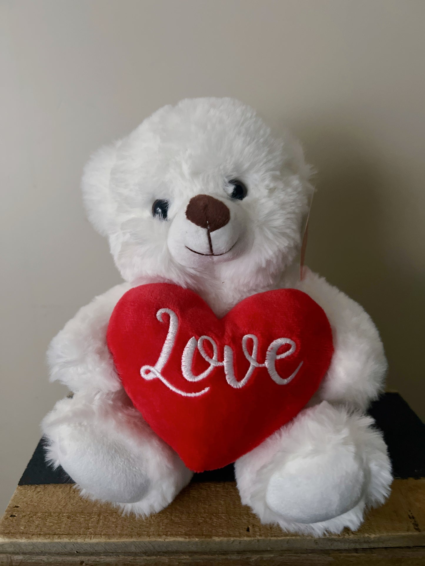 Teddy Bear “Love”