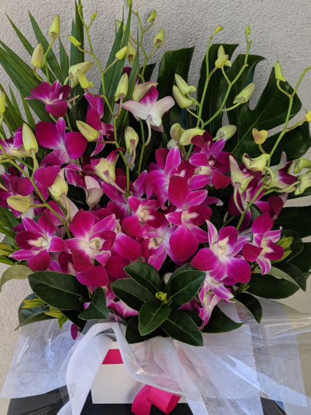 Long Lasting Purple Orchids Box Arrangement
