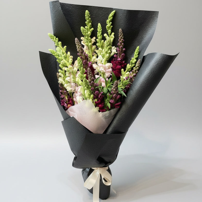 Simply Snap Dragons