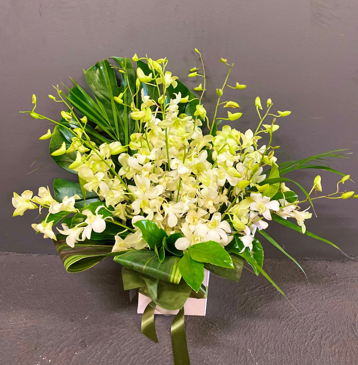 Long Lasting White Orchids Box Arrangement (Deluxe)