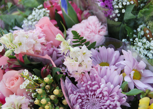 Fresh Cut Flowers Care