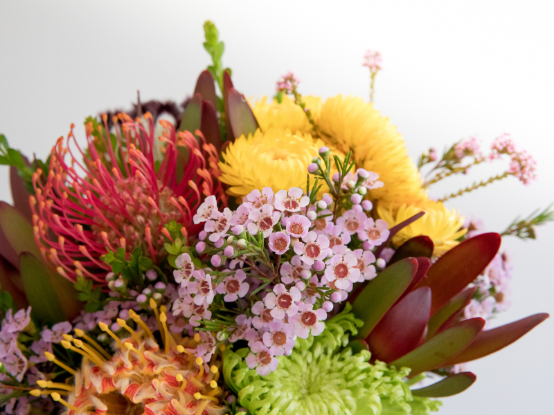 Native Flowers Names The Beauty and Symbolism of Australian Native Flowers: A Melbourne CBD ...