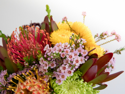 Australian Native Flowers