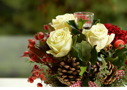 Christmas Flowers