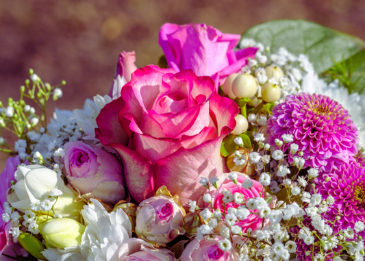  Perfect Flowers for Every Occasion