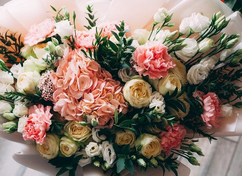 The Symbolism of Winter Blooms: What Your Flowers Say in the Cooler Season