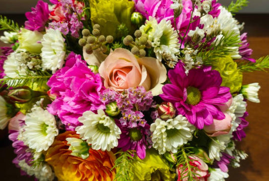 Best Summer Flowers in Australia That Thrive in Heat and Sunshine