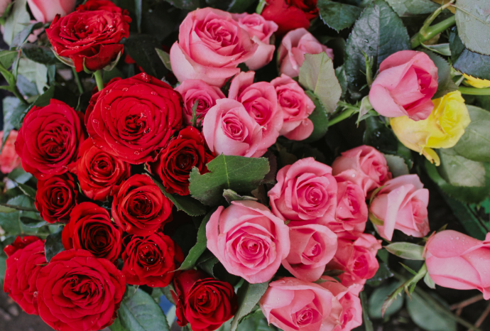 Romantic Flower Delivery in South Melbourne: Bouquet Ideas for Your Partner