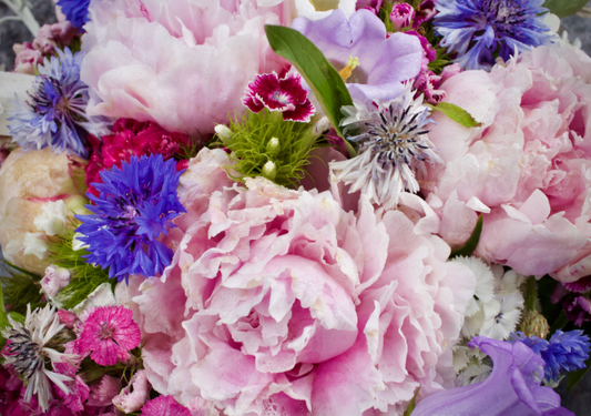 Celebrating Life’s Little Moments with Flowers in South Melbourne