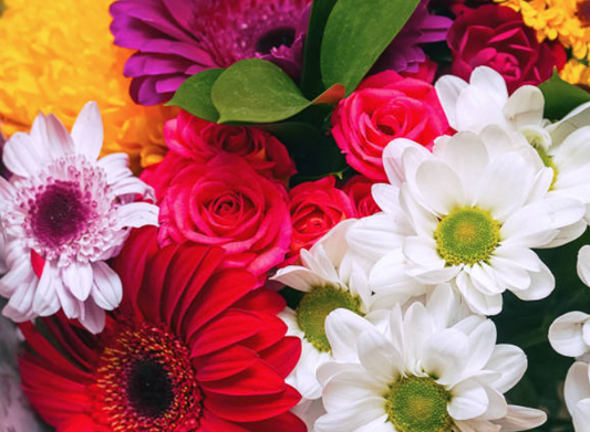 How Fresh Flowers Can Enhance Melbourne CBD Reception Areas and Meeting Rooms