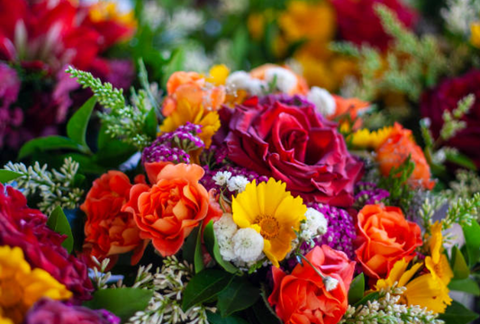 From Clarendon Street to Albert Park: Flower Gifting Around South Melbourne