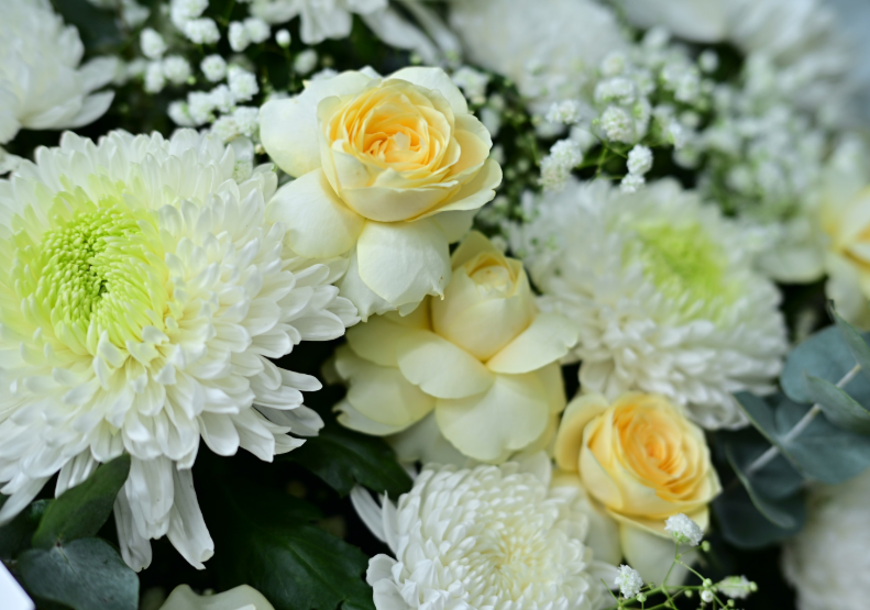 Sending Sympathy Flowers in Melbourne CBD: Choosing a Thoughtful and Appropriate Arrangement