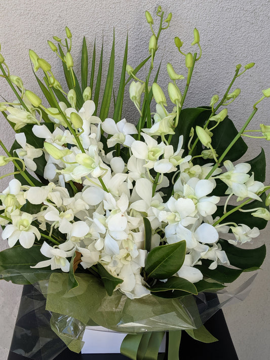 Long Lasting White Orchids Box Arrangement (Standard)