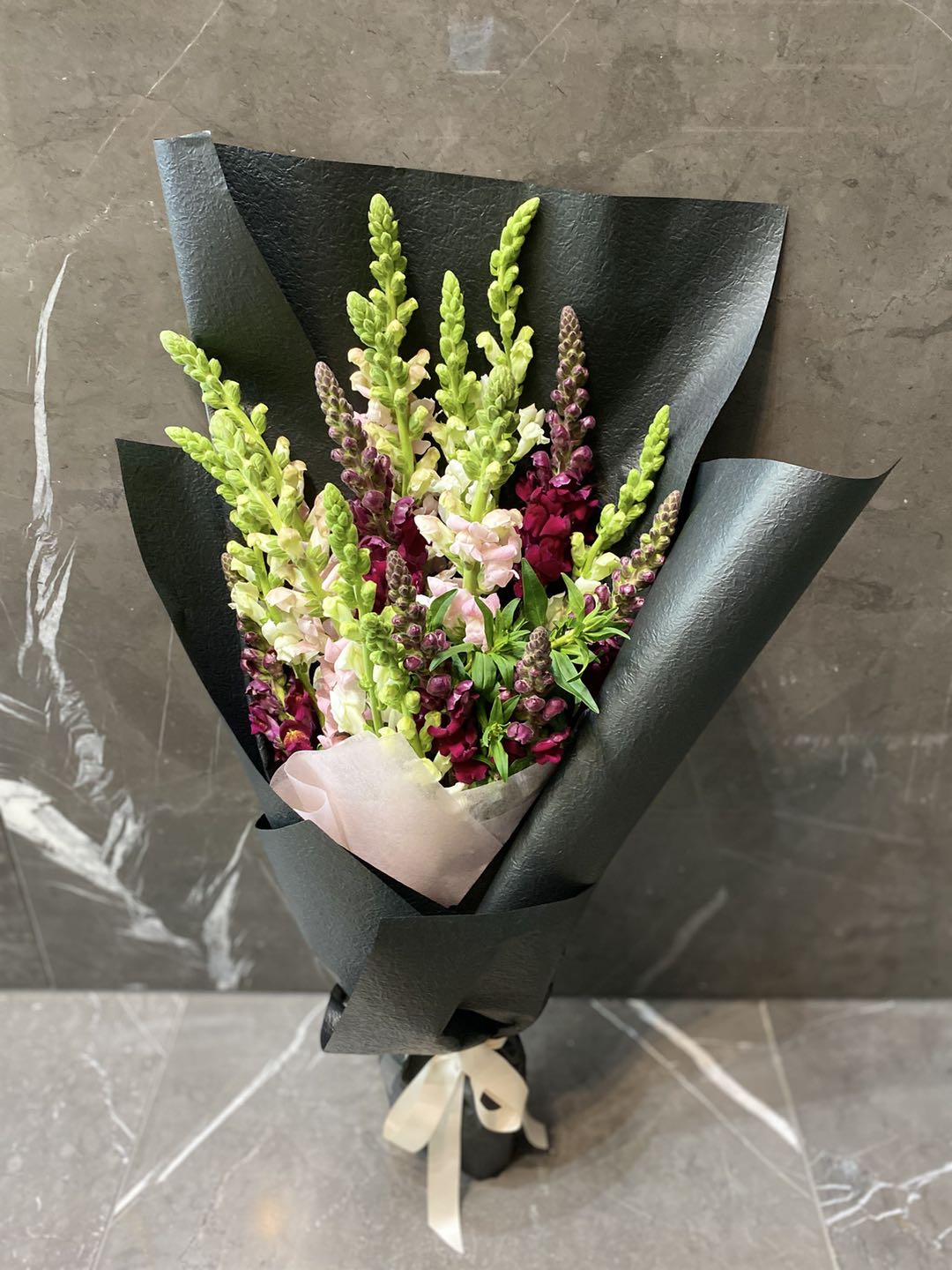 Simply Snap Dragons