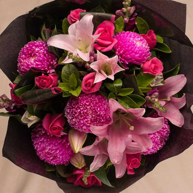 Magenta Beauty