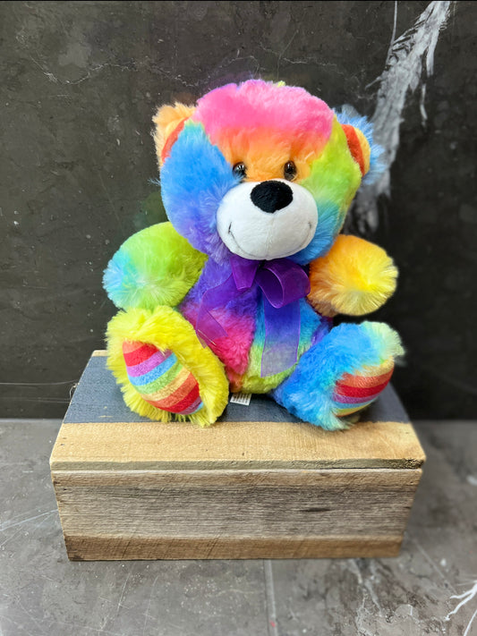Teddy Bear (Rainbow)